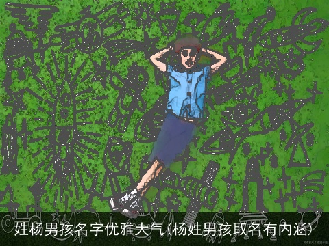 姓杨男孩名字优雅大气(杨姓男孩取名有内涵)