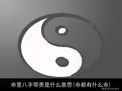命里八字带贵是什么意思(命都有什么命)