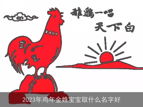 2023年鸡年金姓宝宝取什么名字好