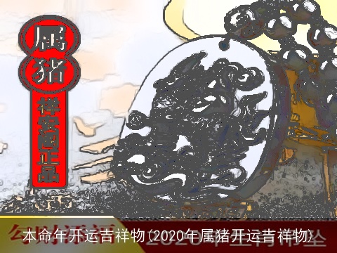 本命年开运吉祥物(2020年属猪开运吉祥物)