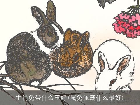 生肖兔带什么玉好(属兔佩戴什么最好)