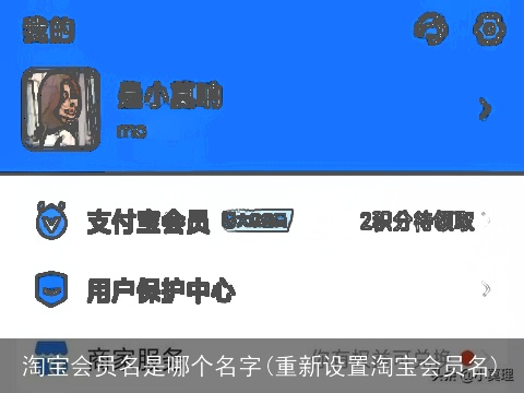 淘宝会员名是哪个名字(重新设置淘宝会员名)