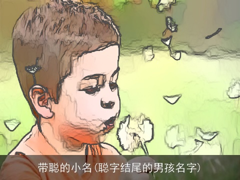 带聪的小名(聪字结尾的男孩名字)