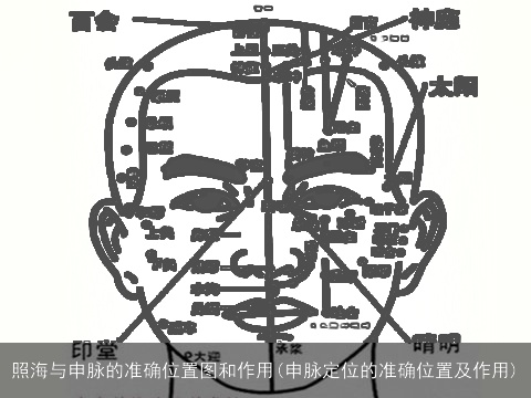照海与申脉的准确位置图和作用(申脉定位的准确位置及作用)