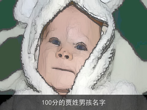 100分的贾姓男孩名字