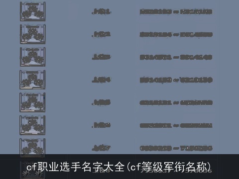 cf职业选手名字大全(cf等级军衔名称)