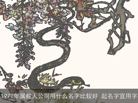 1977年属蛇人公司用什么名字比较好 起名字宜用字