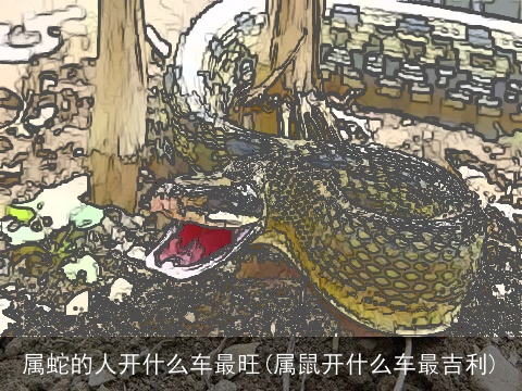 属蛇的人开什么车最旺(属鼠开什么车最吉利)