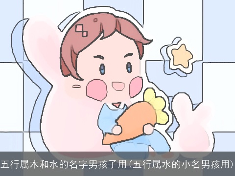 五行属木和水的名字男孩子用(五行属水的小名男孩用)