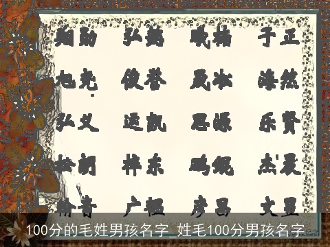 100分的毛姓男孩名字_姓毛100分男孩名字