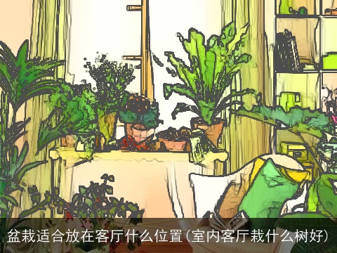 盆栽适合放在客厅什么位置(室内客厅栽什么树好)