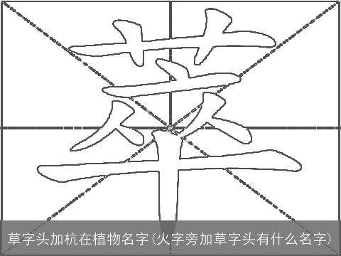 草字头加杭在植物名字(火字旁加草字头有什么名字)