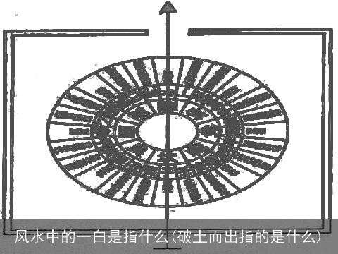 风水中的一白是指什么(破土而出指的是什么)