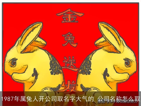 1987年属龙人开公司取名字大气的 公司名称怎么取