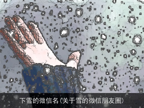 下雪的微信名(关于雪的微信朋友圈)