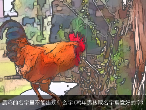 属鸡的名字里不能出现什么字(鸡年男孩取名字寓意好的字)