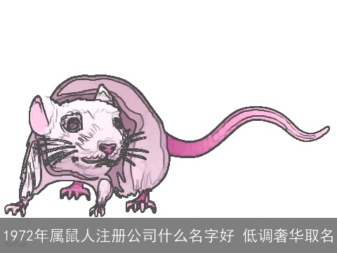 1972年属鼠人注册公司什么名字好 低调奢华取名