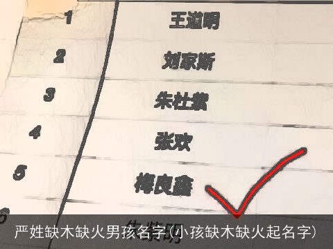 严姓缺木缺火男孩名字(小孩缺木缺火起名字)