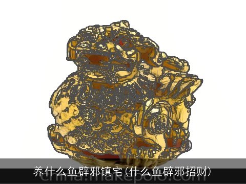 养什么鱼辟邪镇宅(什么鱼辟邪招财)