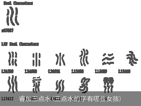 睿加三点水(三点水的字有哪些女孩)