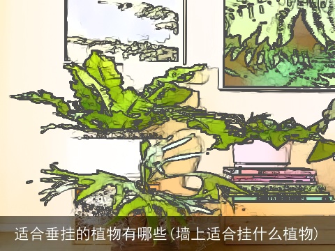 适合垂挂的植物有哪些(墙上适合挂什么植物)