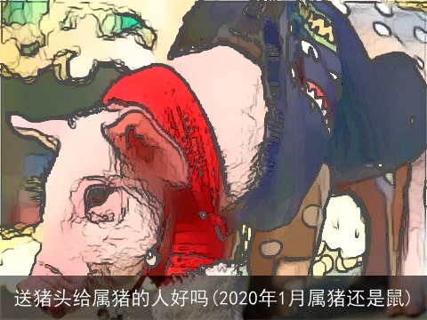 送猪头给属猪的人好吗(2020年1月属猪还是鼠)