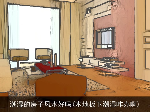 潮湿的房子风水好吗(木地板下潮湿咋办啊)