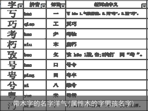 带木字的名字洋气(属性木的字男孩名字)