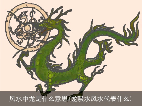 风水中龙是什么意思(龙吸水风水代表什么)