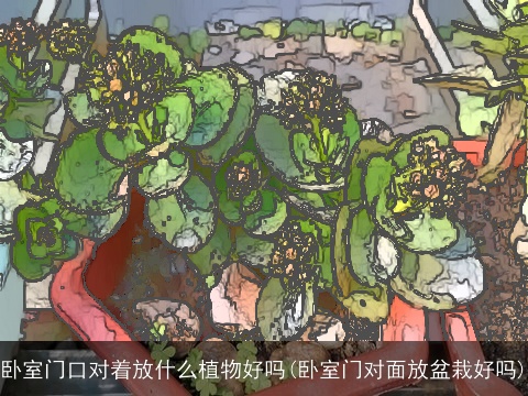 卧室门口对着放什么植物好吗(卧室门对面放盆栽好吗)
