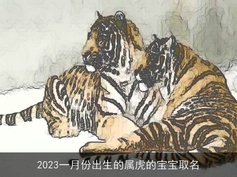 2023一月份出生的属虎的宝宝取名