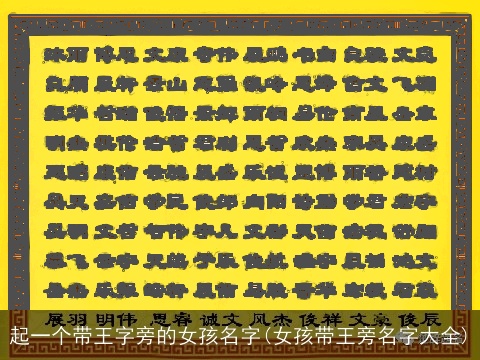 起一个带王字旁的女孩名字(女孩带王旁名字大全)