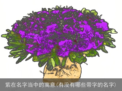 紫在名字当中的寓意(有没有哪些带字的名字)