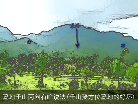 墓地壬山丙向有啥说法(壬山癸方位墓地的好坏)