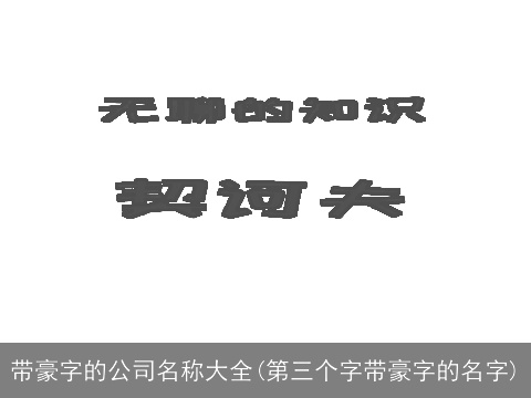 带豪字的公司名称大全(第三个字带豪字的名字)