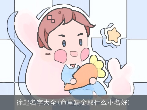 徐起名字大全(命里缺金取什么小名好)