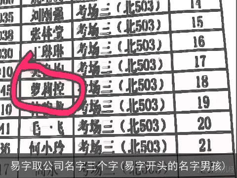 易字取公司名字三个字(易字开头的名字男孩)