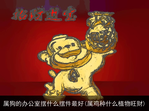 属狗的办公室摆什么摆件最好(属鸡种什么植物旺财)