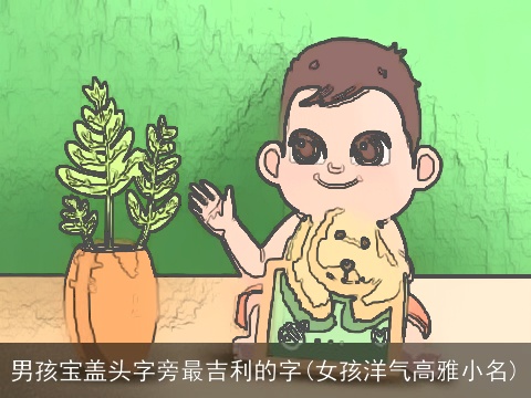 男孩宝盖头字旁最吉利的字(女孩洋气高雅小名)