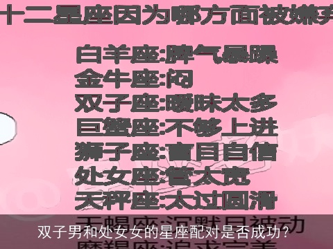 双子男和处女女的星座配对是否成功？