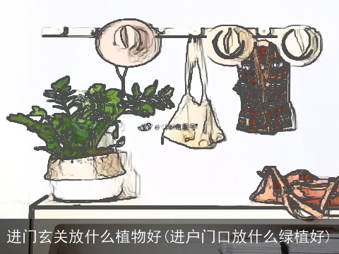 进门玄关放什么植物好(进户门口放什么绿植好)
