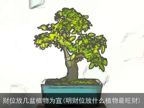 财位放几盆植物为宜(明财位放什么植物最旺财)