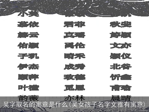 吴字取名的寓意是什么(吴女孩子名字文雅有寓意)