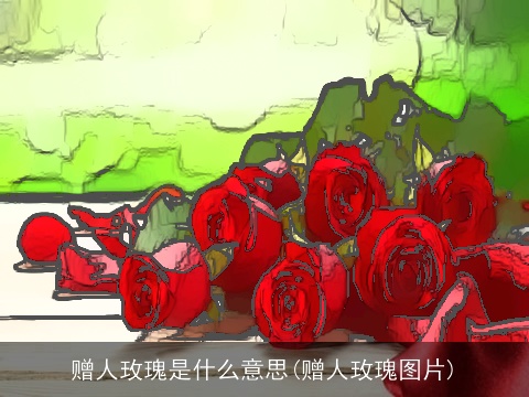 赠人玫瑰是什么意思(赠人玫瑰图片)