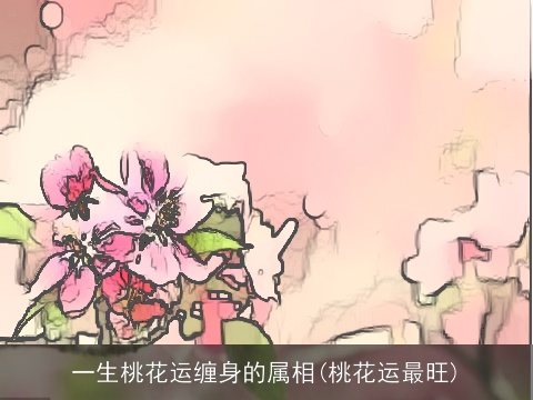 一生桃花运缠身的属相(桃花运最旺)