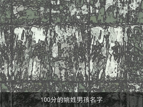 100分的姚姓男孩名字