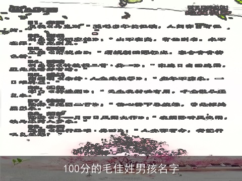 100分的毛佳姓男孩名字