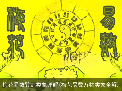 梅花易数巽卦类象详解(梅花易数万物类象全解)