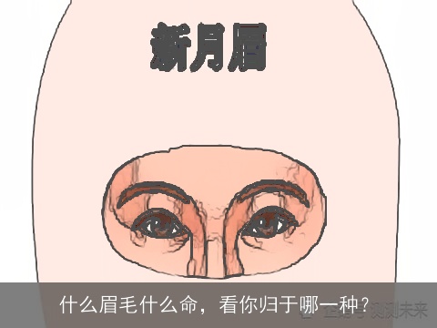 什么眉毛什么命，看你归于哪一种？