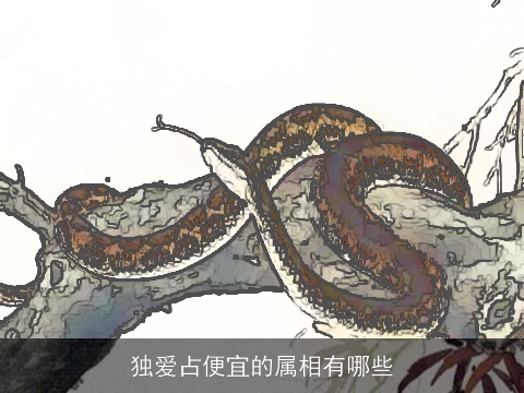 独爱占便宜的属相有哪些